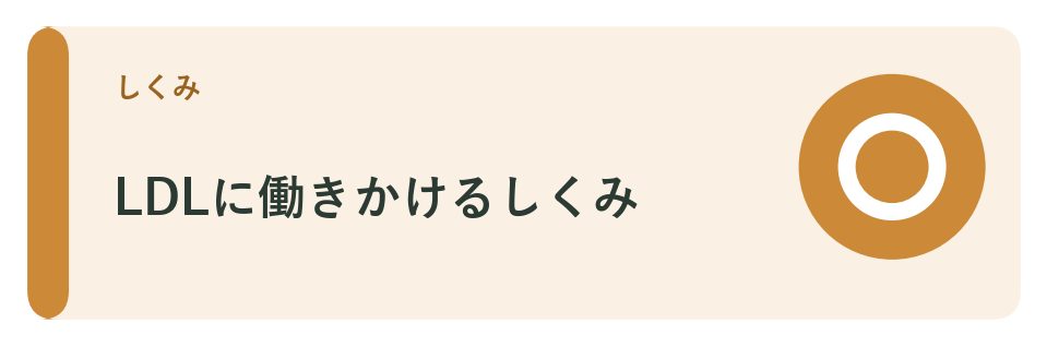 食物繊維とLDLコレステロールのメカニズム
