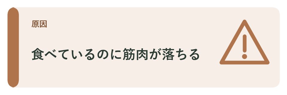 フレイルとたんぱく質の関係