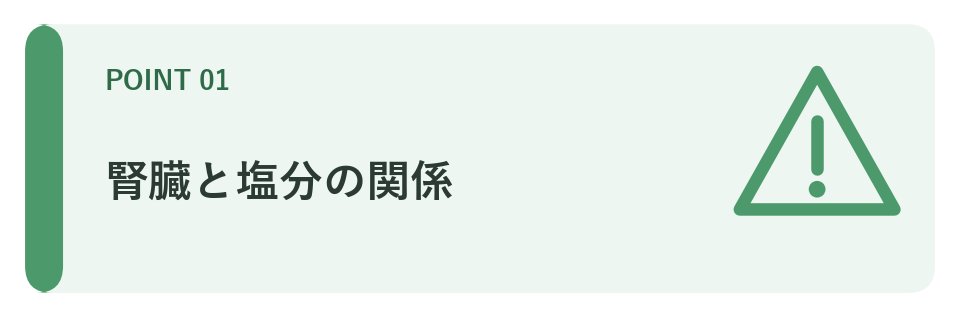 腎臓と塩分の関係