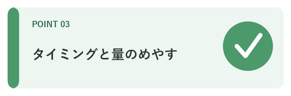 間食のタイミングと量のめやす